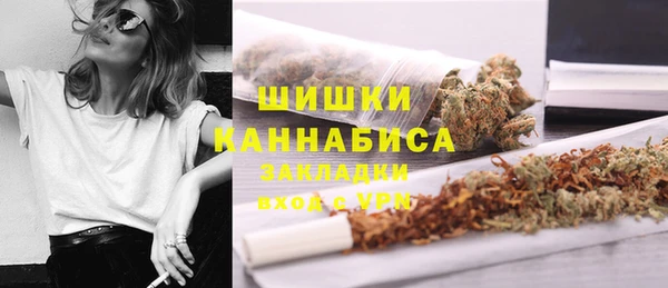 сатива Абдулино