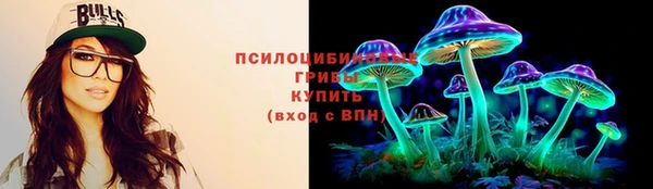 сатива Абдулино