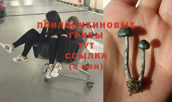 соль курить ск Абаза
