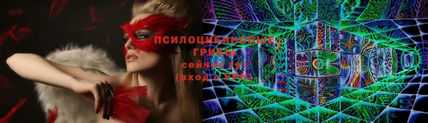 a pvp Абинск
